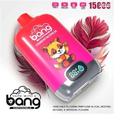 هل هناك أي قيود على السفر مع bang vape؟